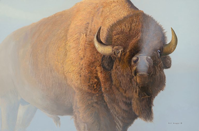 American Icon – Bison