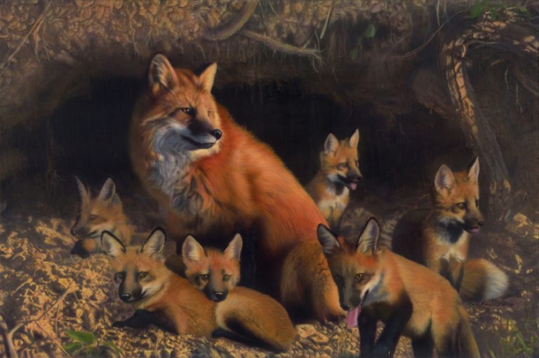 Den Mother – Red Fox