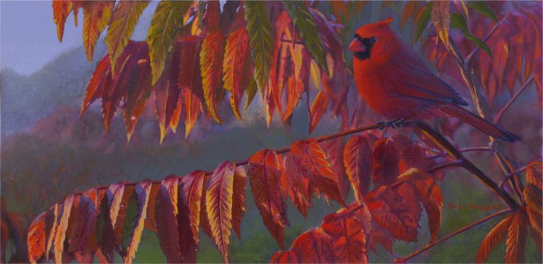 Fall Camouflage – Cardinal