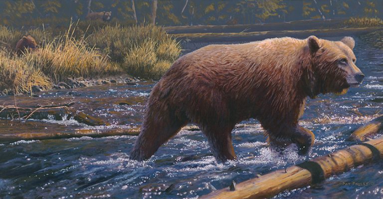 Family Outing – Grizzlies