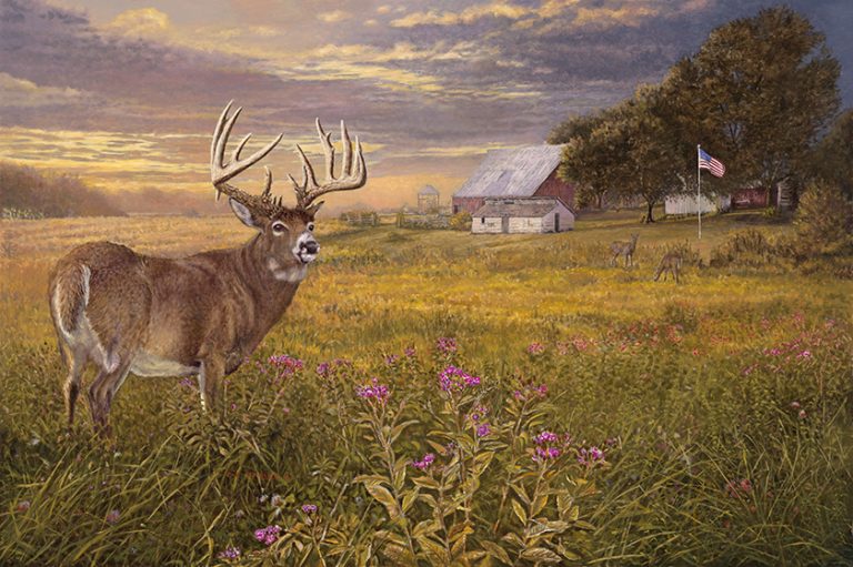Fruited Plains – Whitetail