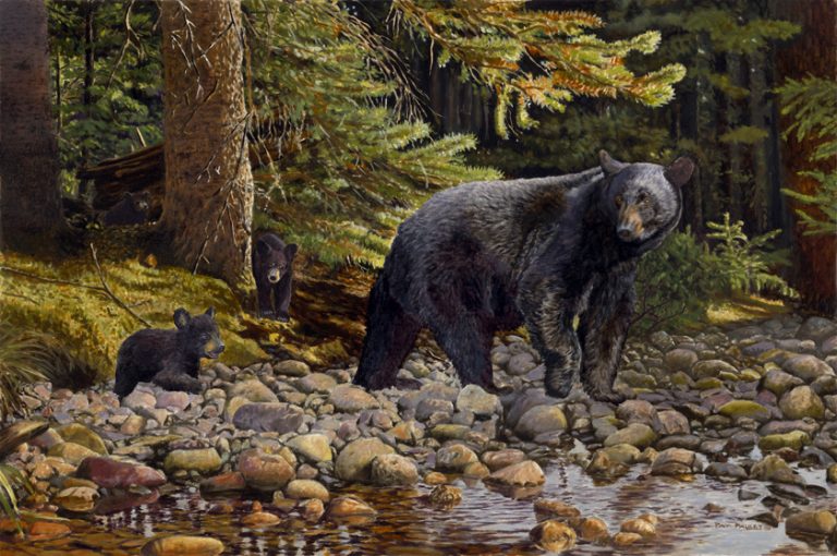 Leading the Way – Black Bears