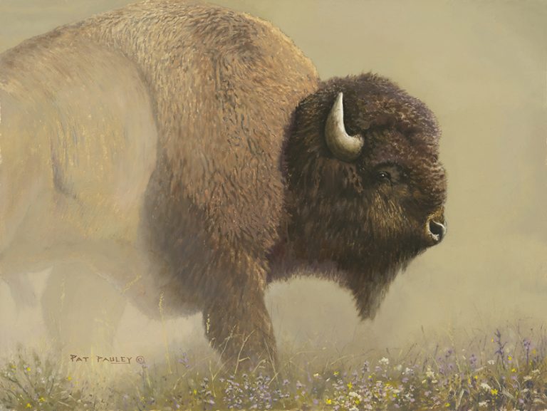 Prairie Drifter – Bison