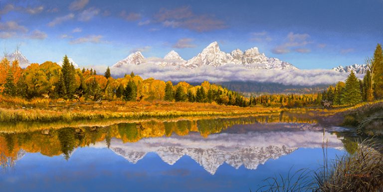 Reflections of Nature