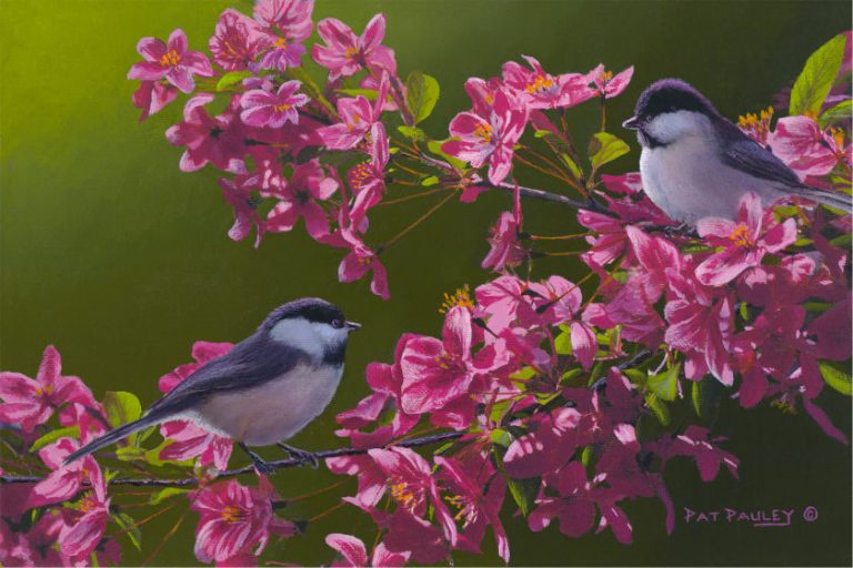Spring Bouquet – Chickadees