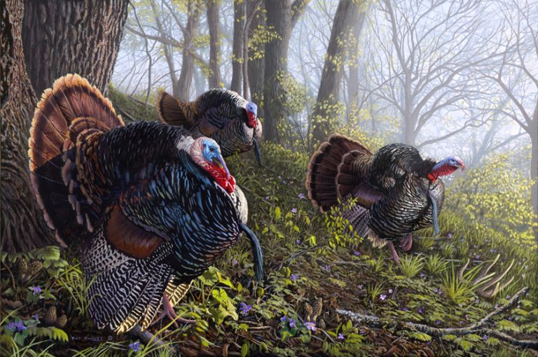 Spring Treasures – Turkeys