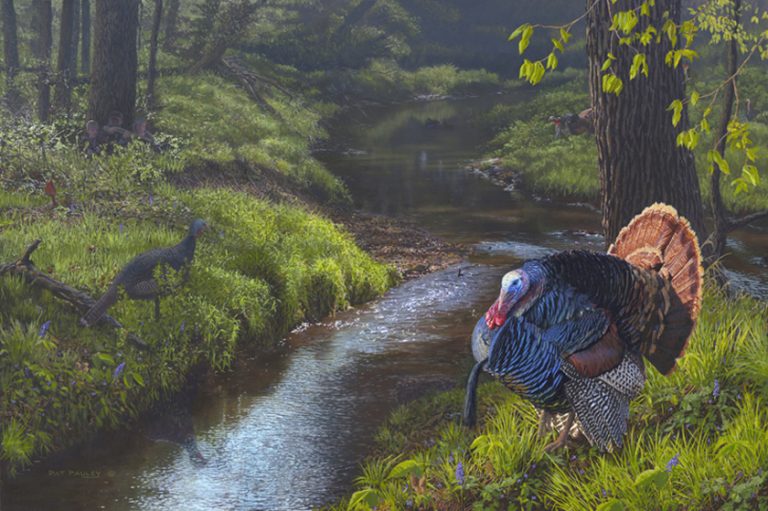 Spring Treasures III – Turkeys