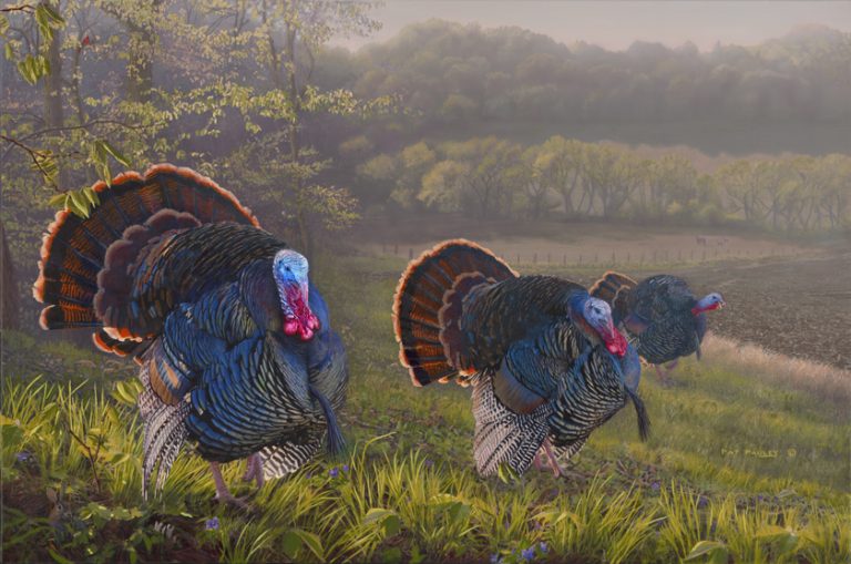 Spring Treasures II – Turkeys