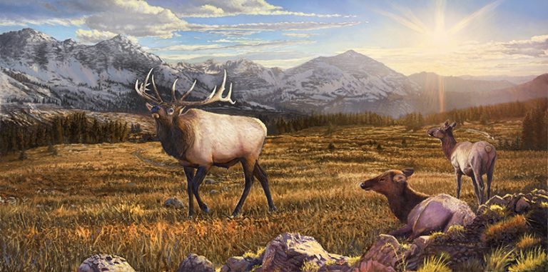 Start of a Great Day – Elk