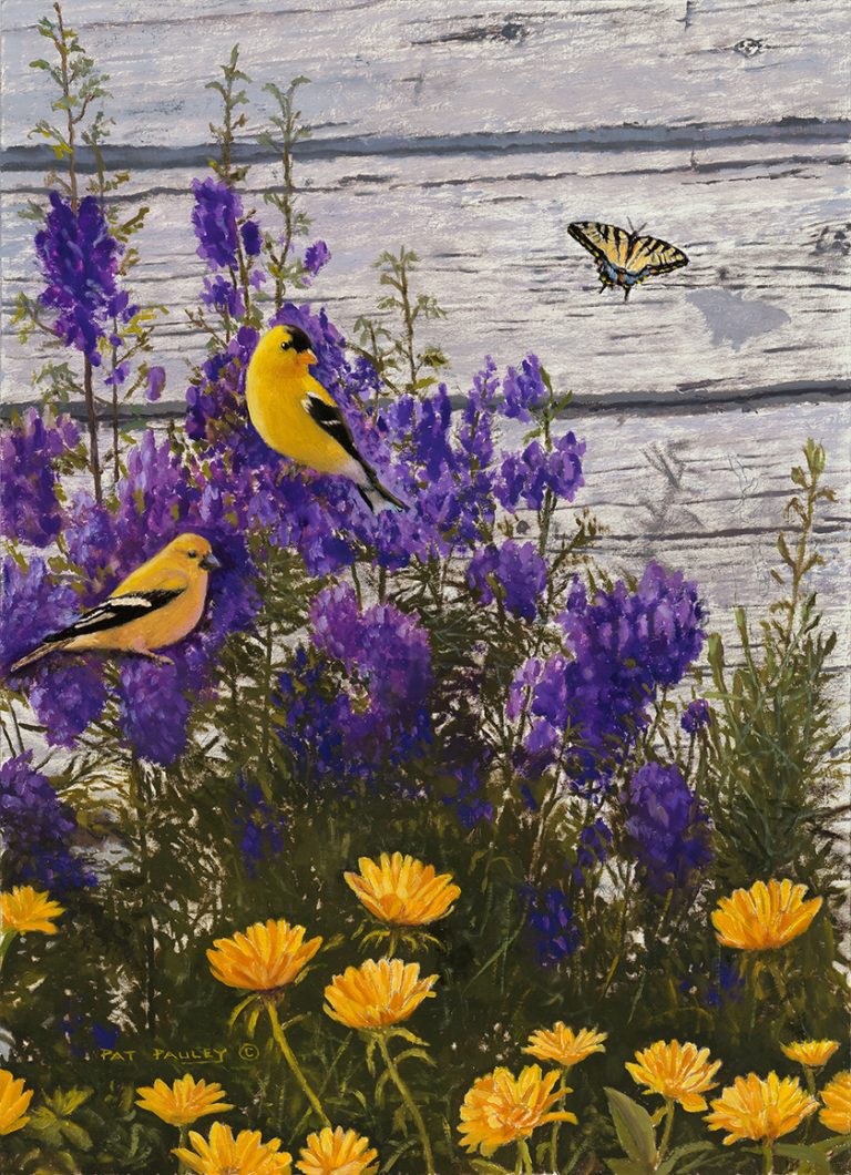 Summer Romance – Gold Finch