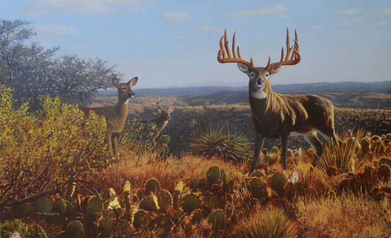 Texas Trophy I