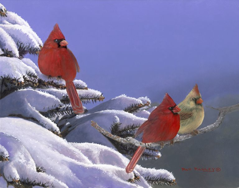 The Chaperone – Cardinals
