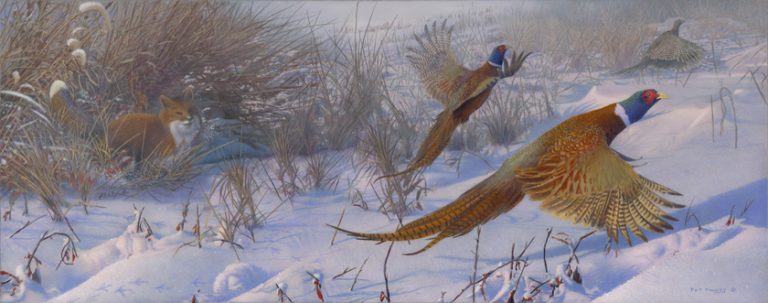 The Chase is On II – Pheasants