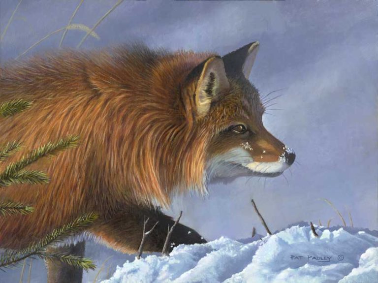 The Sneaky Fox