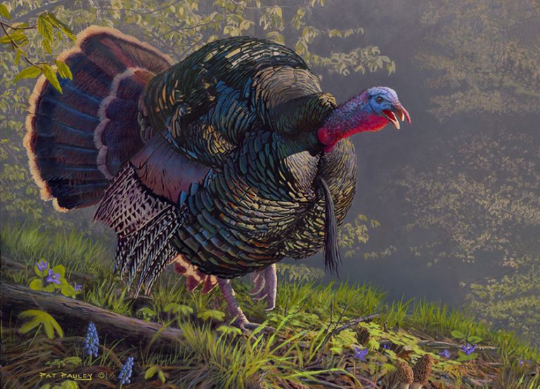 Turkey Talk
