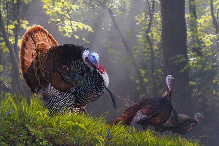 Turkey Trio