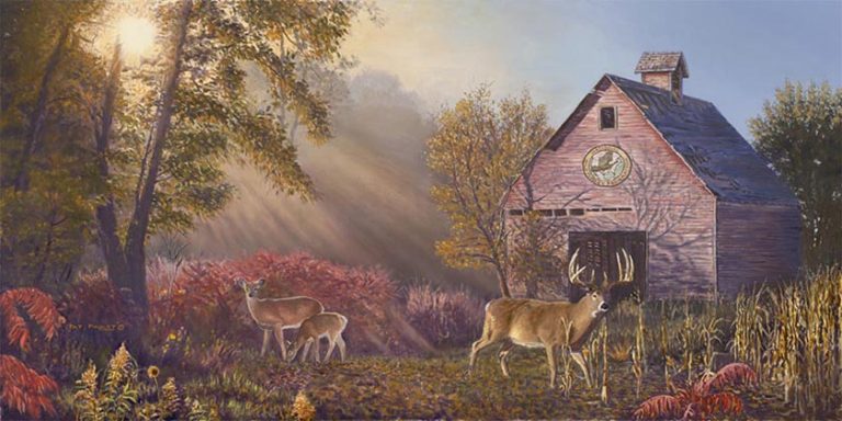 Whitetail Heaven (Barn for Turkey Fed)