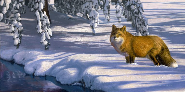Winter Blues – Red Fox